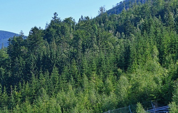 Mamutí horská dráha