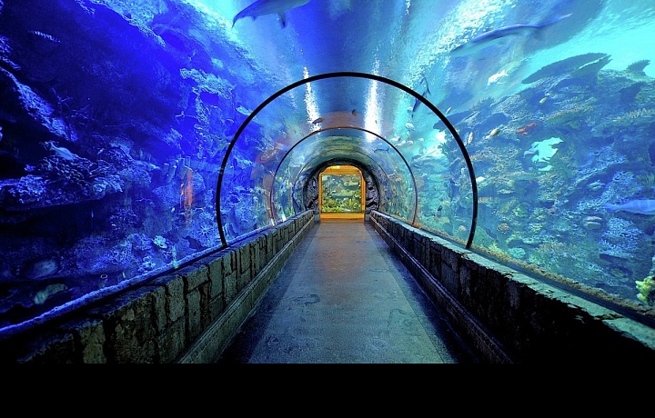 Unikátní akvárium v hotelu Mandalay Bay