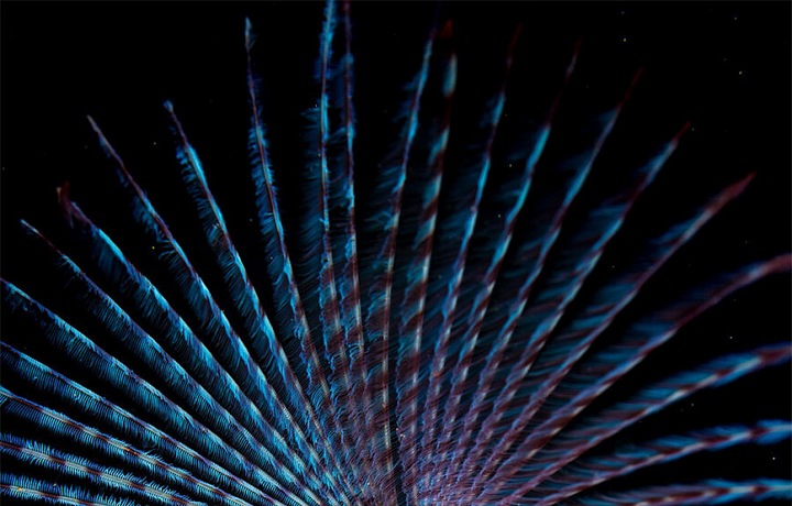 Vodní říše v Norsku