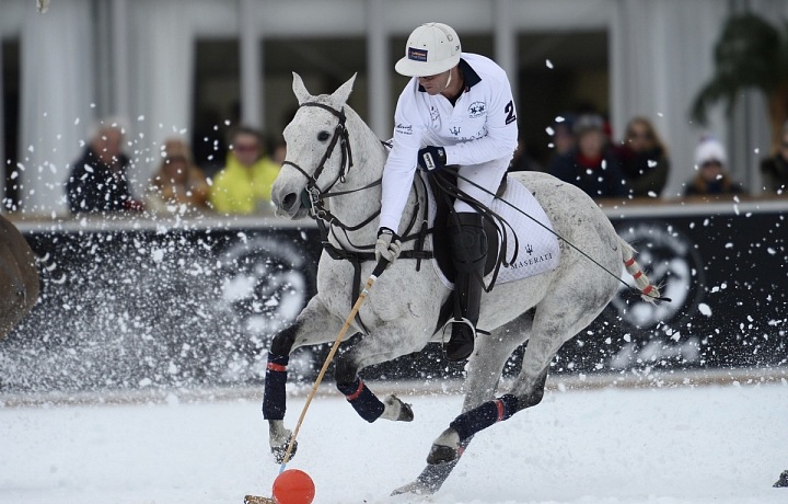 Luxusní koně a skvělí hráči