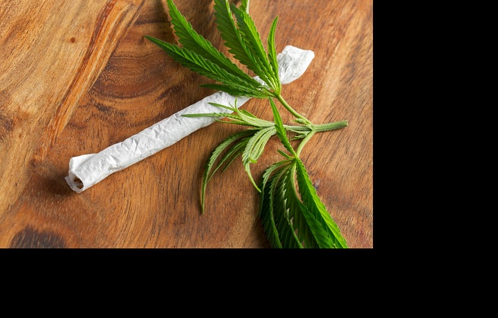 Politiky rozděluje otázka legalizace měkkých drog, například marihuany.