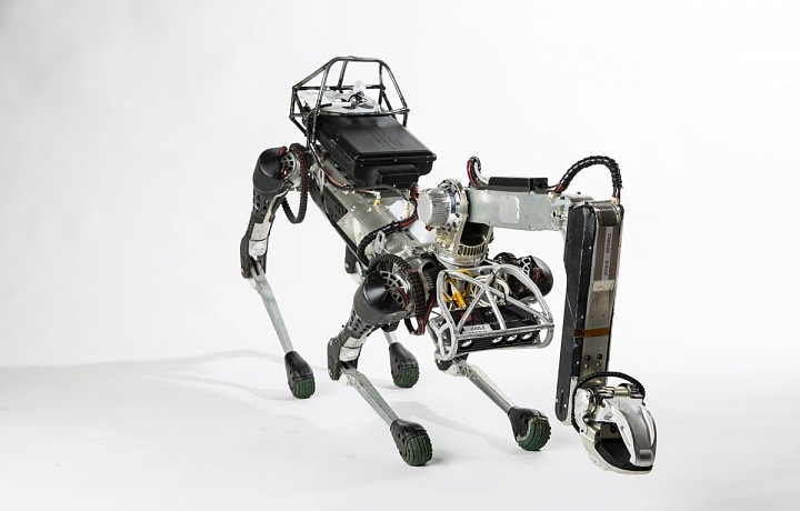 Robot Spot s dlouhým krkem