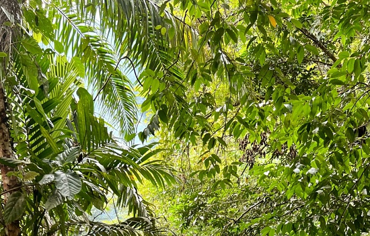 Život na Kostarice se nese v klidném tempu.