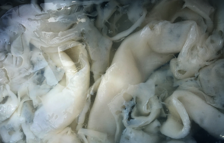 Procesem kvašení vzniká "želé"