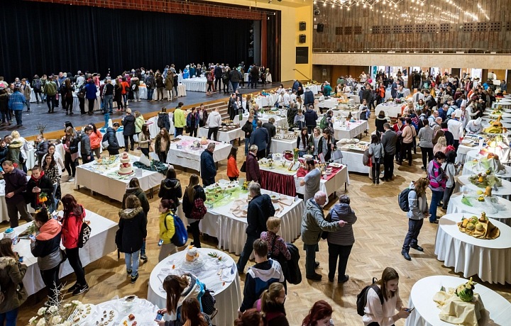 Gastro Hradec v Kongresovém centru Aldis