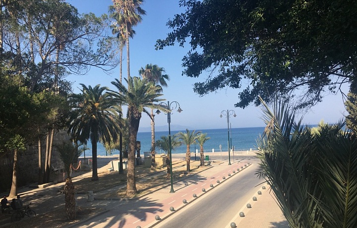 Nikde ani živáčka. 