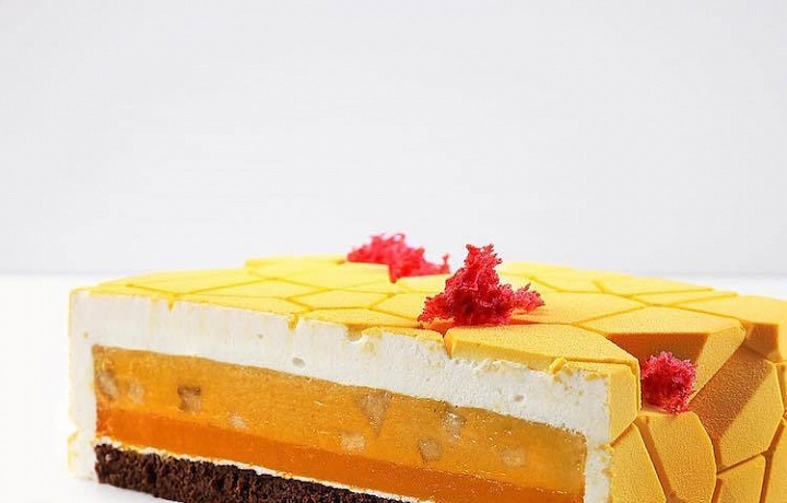 Origami Dinara Kasko