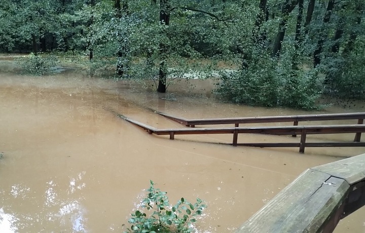 Zaplavená expozice Mokřady v Zoo Ostrava