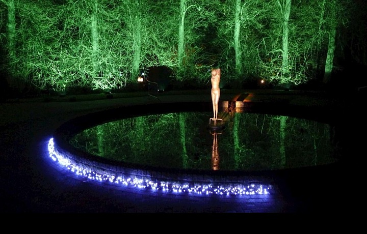 Vánoce v Královské botanické zahradě v Edinburghu