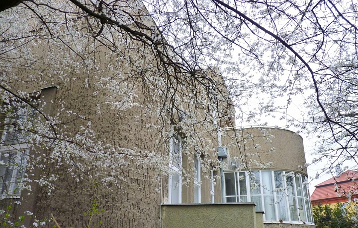 Vila a její výklenek v detailu