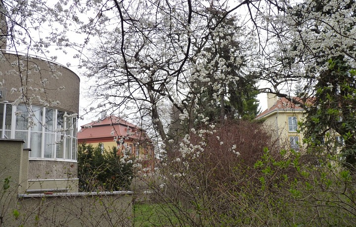 Zadní část domu se zahradou