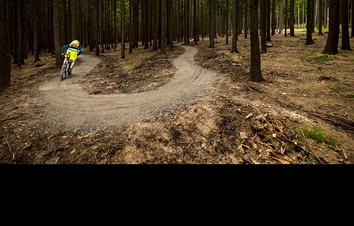 Singletracky na Vysočině