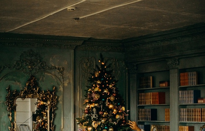 Kde se vzal vánoční stromeček?