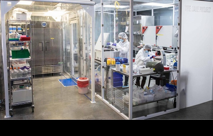 V laboratořích se dnes vyrábí kvalitní protein. 