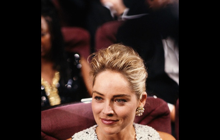 Pohled lvice na lovu...