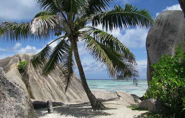 Bílý písek na Seychelech