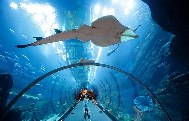 Atlantis hotel (Palm Jumeirah)