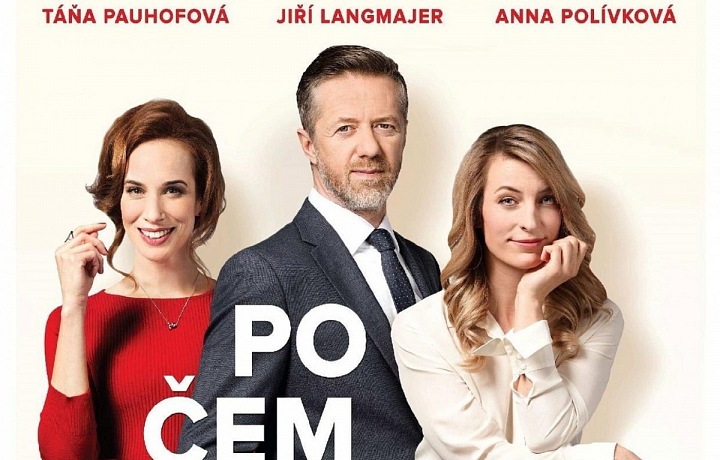 Po čem muži touží 