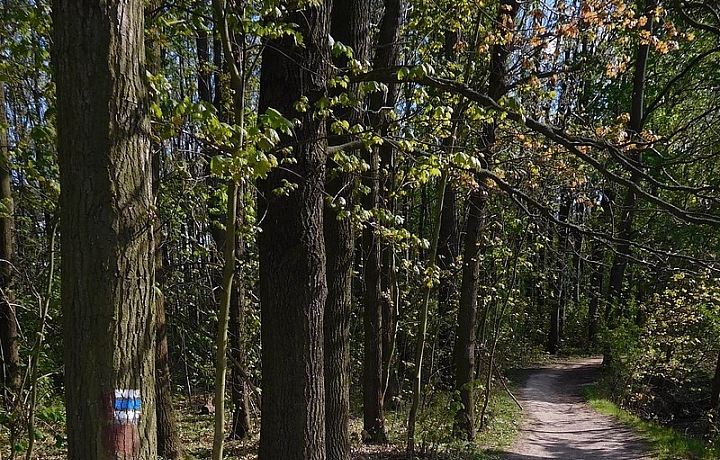 Naučná stezka v Uhříněvsi