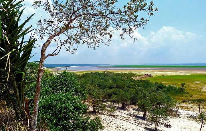 Amazonský deštný prales