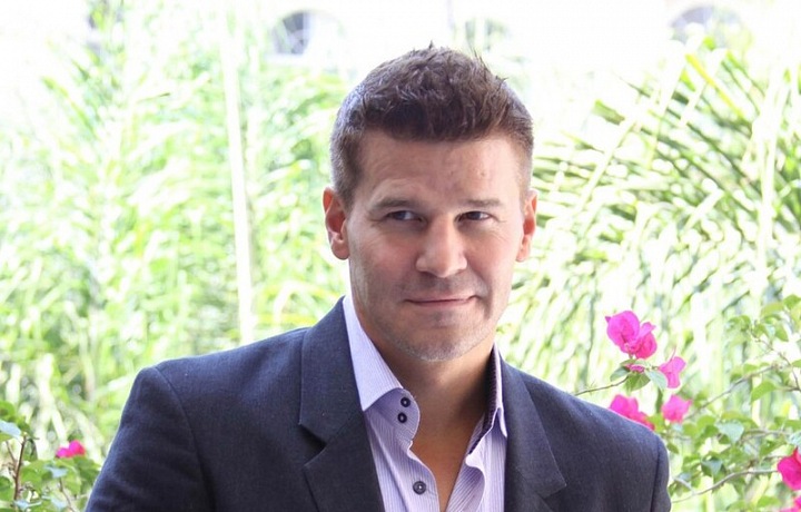 David Boreanaz