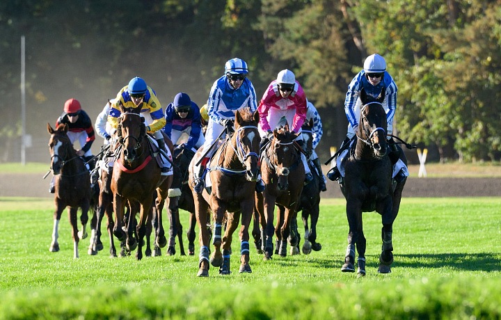 Letošní ročník bude plný rarit