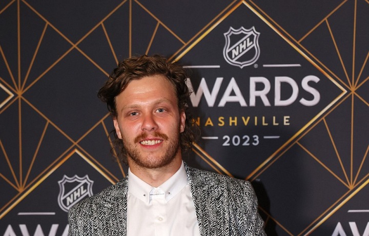 David Pastrňák