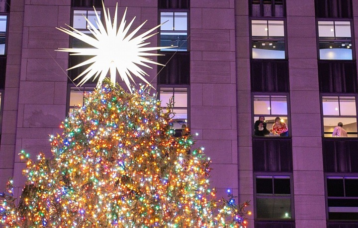 Strom zdobí jej 50 tisíc světélek a na jeho vrcholu září hvězda, která váží 400 kilogramů a je vyrobena ze tří milionů krystalů Swarovski