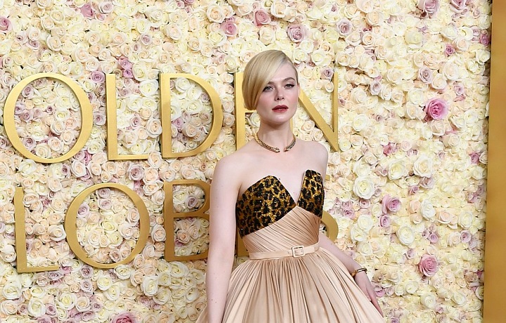 Elle Fanning vsadila na šaty s leopardím detailem, který je tak trošku navíc. 
