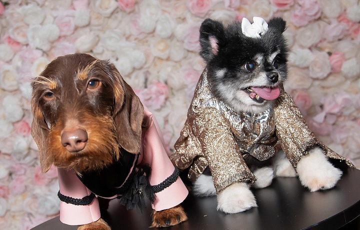 Rihanna a A$AP Rocky jako psi