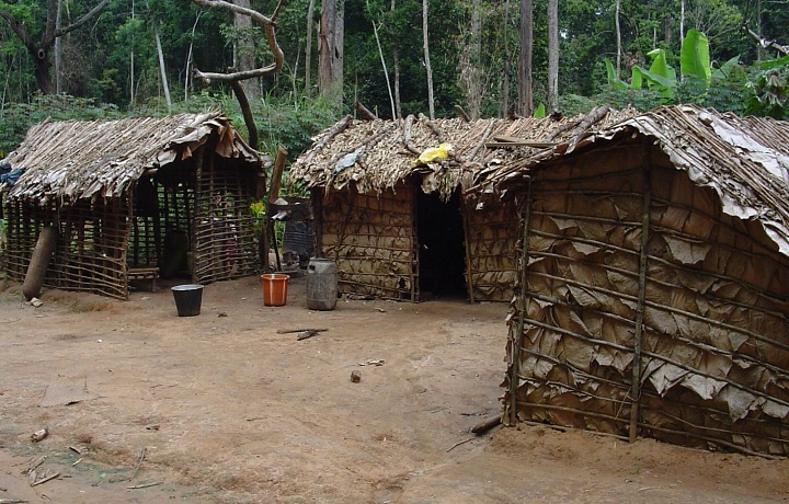 Pygmejské domy vyrobené z klacků a listů na severu Konžské republiky