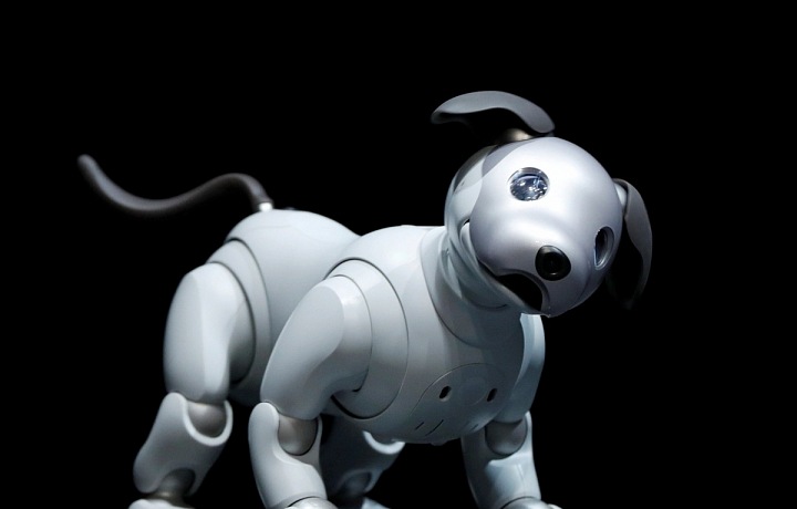 Robotic Dog AIBO
