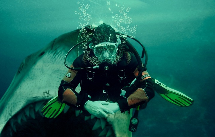 Po takovém obrázku touží každý vášnivý potápěč