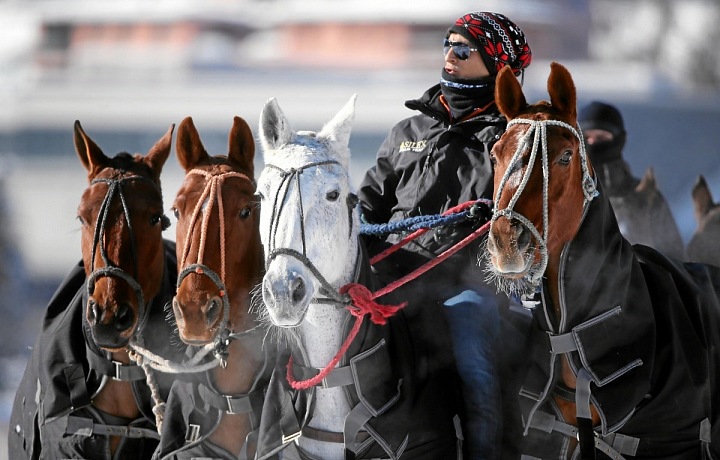 Nádherní závodní koně