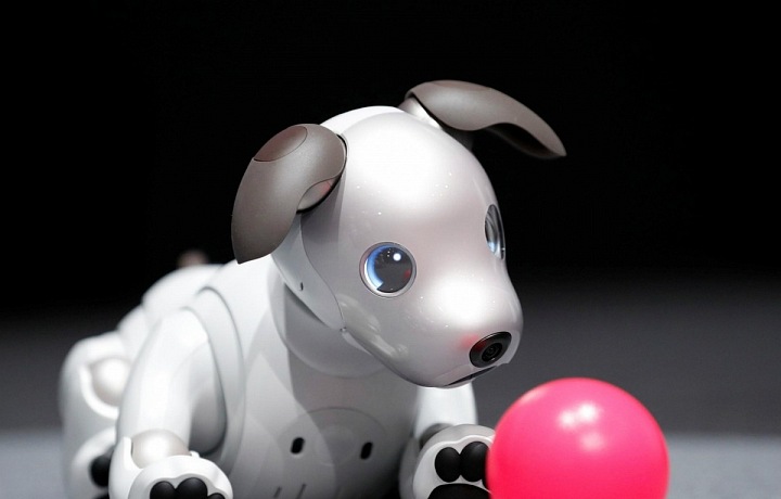 Robotic Dog AIBO