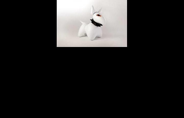 Nafukovací pes Bulík, Fatra