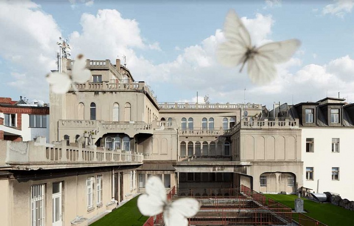 Projekt Louka nad Lucernou a motýli