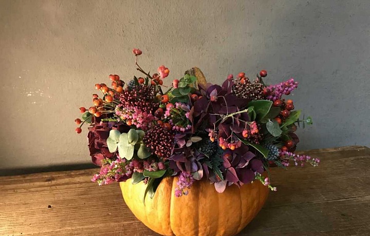 Květinářství Metamorphosis a Halloween