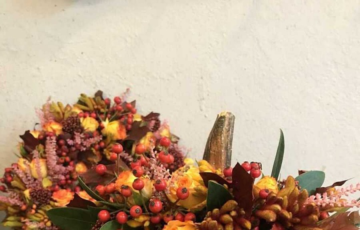 Květinářství Metamorphosis a Halloween