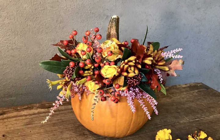 Květinářství Metamorphosis a Halloween