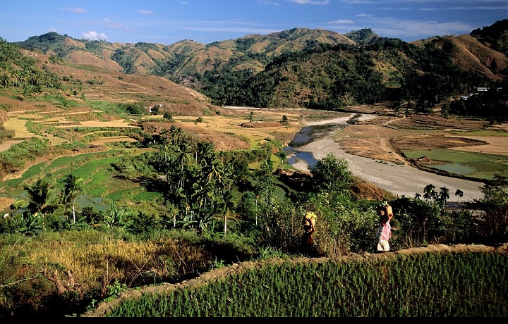 Příroda na ostrově Sumba
