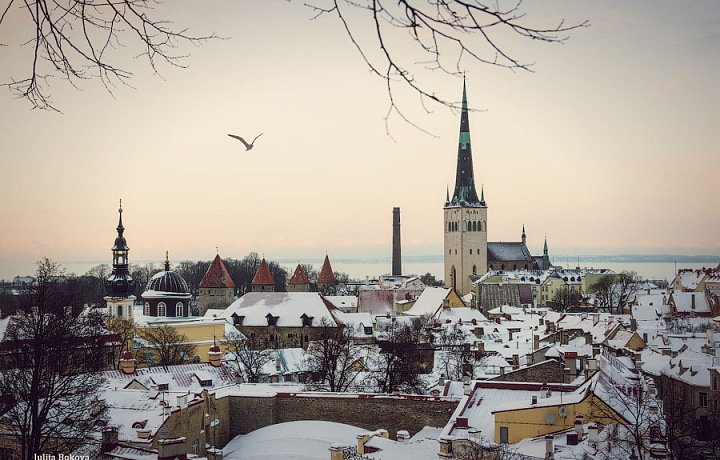 Zasněžený Tallin