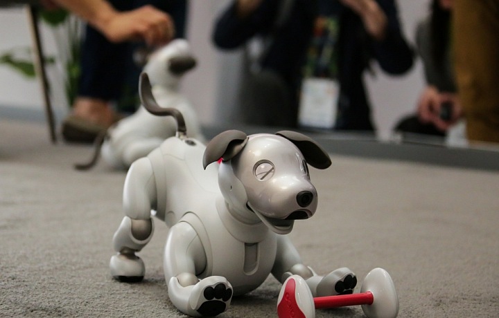 Robotic Dog AIBO