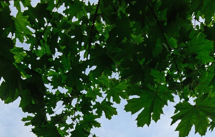 Stavba navržena architektkou Zahou Hadid