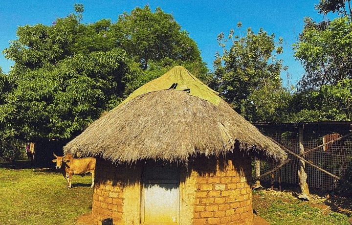 Obyvatelia Zimbabwe známi svojou silnou vôľou, odolnosťou a komunitným duchom.