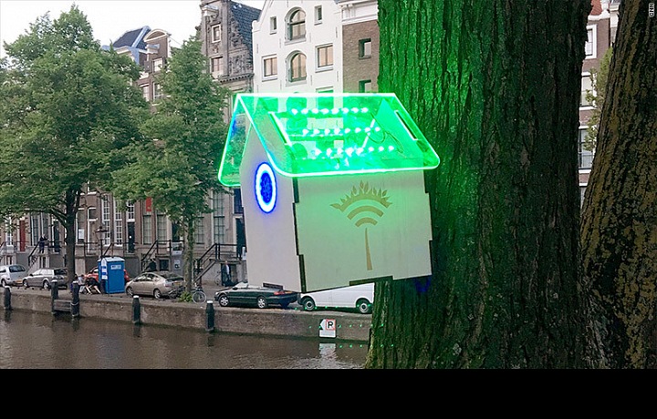 Tree Wifi in Amsterdam