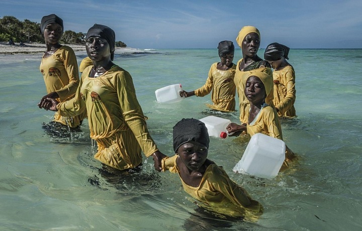 Finding Freedom in the Water