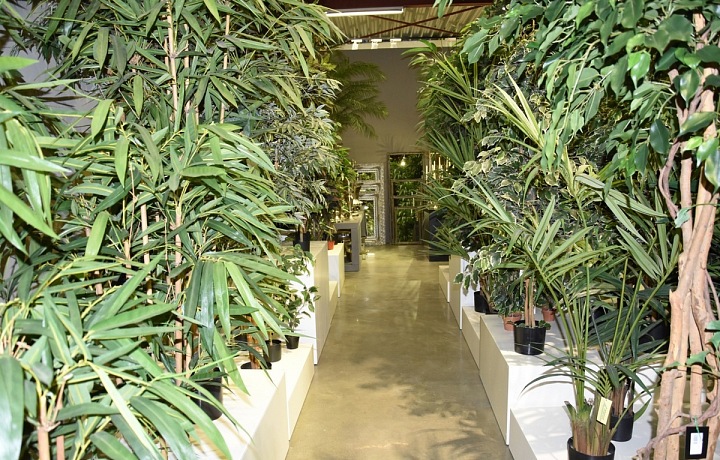 Hedvábné rostliny od značky Jasaco.