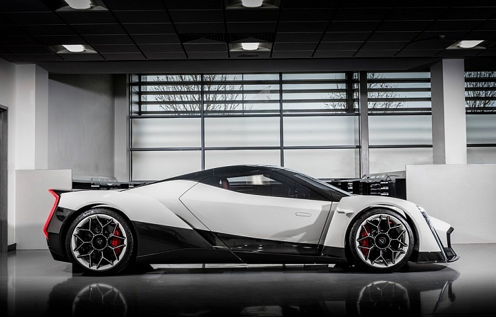 Dendrobium, Vanda Electris