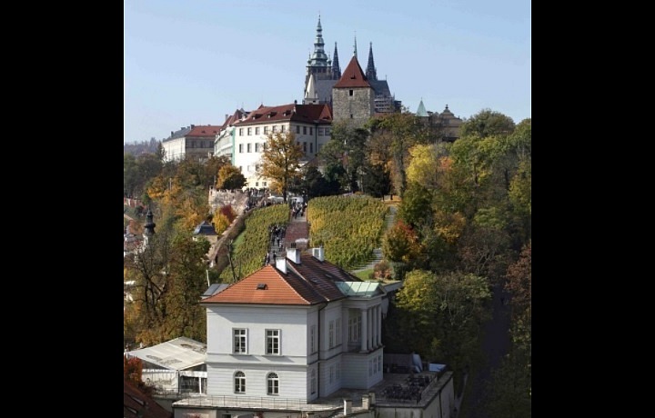 Svatováclavské vinobraní, Vila Richter